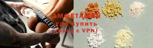 индика Алзамай