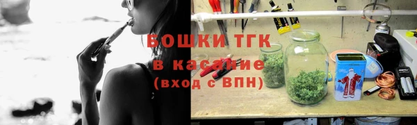 молекула духа Алексеевка