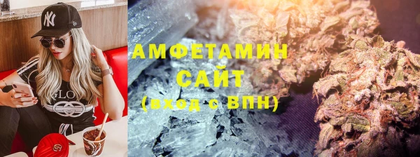 индика Алзамай