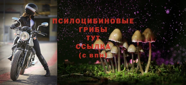 молекула духа Алексеевка
