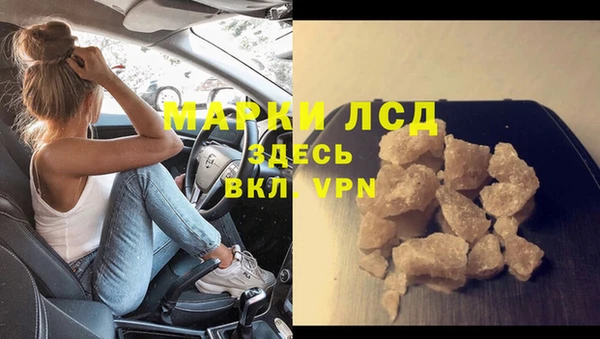 индика Алзамай