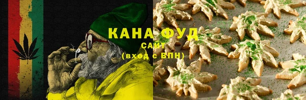 индика Алзамай