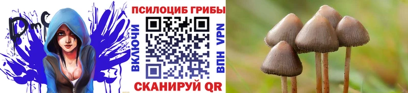 Галлюциногенные грибы Magic Shrooms  Тверь 